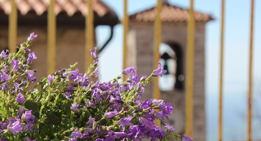 La Scuola GuesthouseLusiana エクステリア 写真